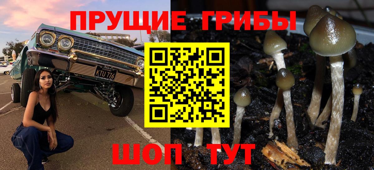 Красногорск  Галлюциногенные грибы мицелий  Вход с VPN 